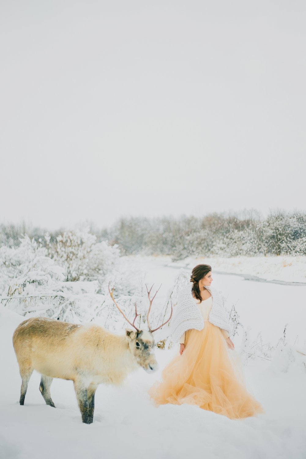 Зимняя невеста с северным оленем